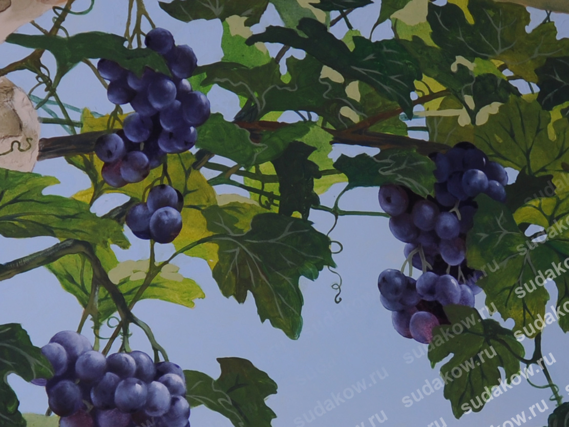 роспись стен рисунок винограда листья